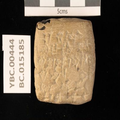 Tablet. Record concerning barley for donkey fodder. Ur III. Clay.; YPM BC 015185