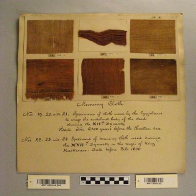 <bdi class="metadata-value">3 (22-24 Plate 4) Mummy cloth XVII Dyn. Reign of King Kaskenen. Before B.C. 1600. Egypt.; YPM ANT 006152</bdi>