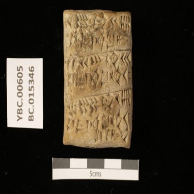 Tablet. Receipt of wool issued by $ulgi-misar. Ur III. Clay.; YPM BC 015346