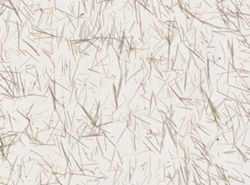 Clathria juniperina image