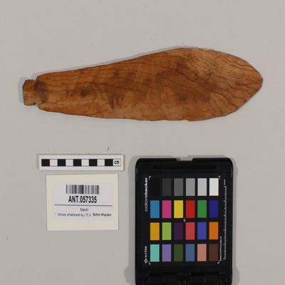 <bdi class="metadata-value">1 Bullroarer, unfinished wood, toy, L. 13', made by George Bain, Fort Nelson, BC, Slave, N Athapaskan; YPM ANT 057335</bdi>