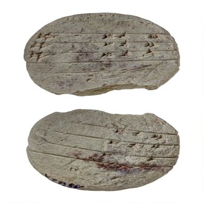 Round tablet. Forerunner to HAR-ra = hubullu XIII 330-332. Old Babylonian. Clay.; YPM BC 021351