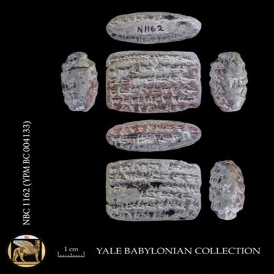Tablet. Withdrawals of barley for various purposes. Neo-Babylonian. Clay.; YPM BC 004133
