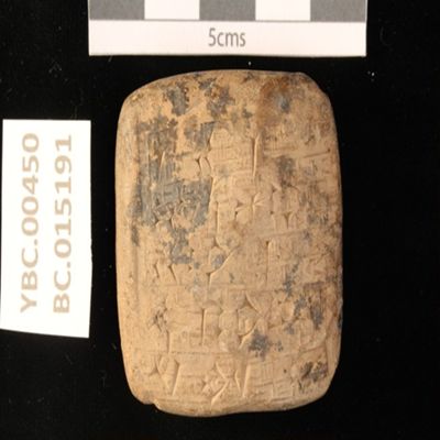 Tablet. Record concerning one pig used to buy beer. Ur III. Clay.; YPM BC 015191