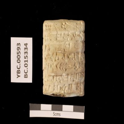 Tablet. Disbursement of cattle by Intaea. Ur III. Clay.; YPM BC 015334