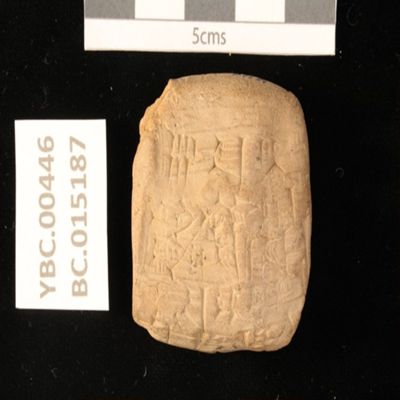 Tablet. Delivery of hides. Ur III. Clay.; YPM BC 015187