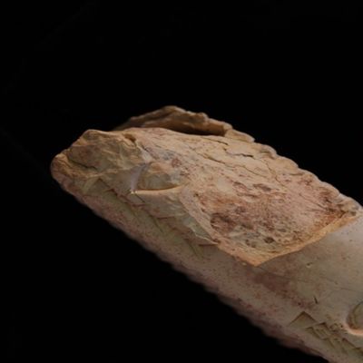 Tablet. Sale of girsequtu allotment. Hellenistic. Clay. Witnessed.; YPM BC 002111