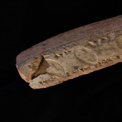 Tablet. Sale of rights to provisions and of builder's allotment. Hellenistic. Clay. Witnessed.; YPM BC 002103