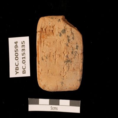 Tablet. Record concerning field areas worked by erin2. Ur III. Clay.; YPM BC 015335