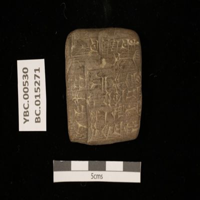 Tablet. Record concerning reed for the mar-sa over two years (AS 5-6). Ur III. Clay.; YPM BC 015271