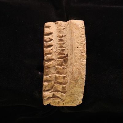 Fragment of bowl rim. Votive inscription for Nisaba. Ur III. Clay.; YPM BC 001820