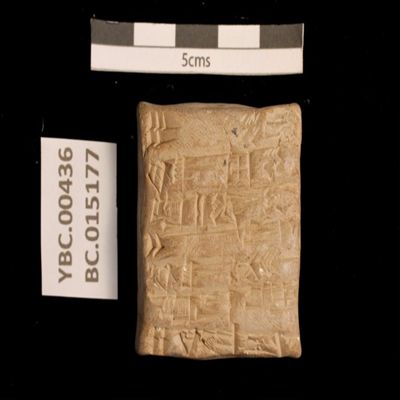 Tablet. Barley as fodder for sheep. Ur III. Clay.; YPM BC 015177