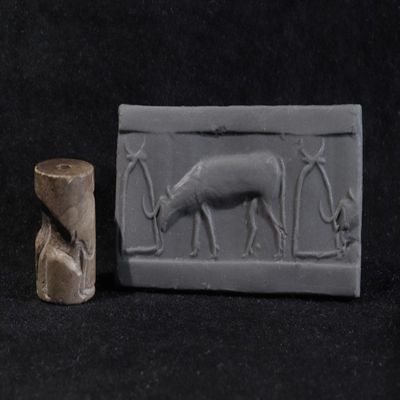 Cylinder Seal. Bull, very deeply cut into the stone. Uruk IV. Light brown stone.; YPM BC 038200
