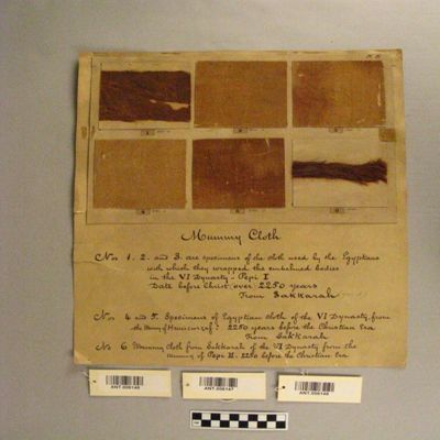 <bdi class="metadata-value">2 (4 & 5) Mummy cloth. VI Dyn. From the Mummy of Hunicurzas? From Sakkarah B.C. 2250 yrs. Egypt.; YPM ANT 006147</bdi>