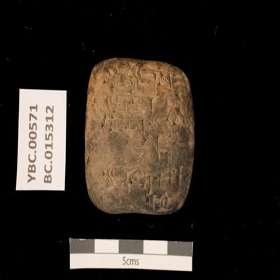 Tablet. Transfer of wood. Ur III. Clay.; YPM BC 015312