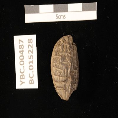 Bulla. Delivery of textile. Old Babylonian. Clay.; YPM BC 015228
