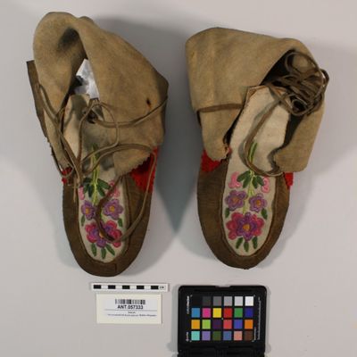 <bdi class="metadata-value">1 pair of moccasins; pink, green and violet embroidered floral design, red strand decoration, L. 12', Made by Mrs Cairdner II, Fort Nelson, BC, Slavey, N Athapaskan; YPM ANT 057333</bdi>