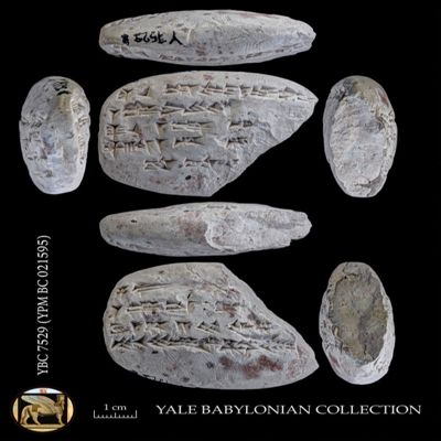 Tablet. Withdrawals of dates by PNs. Neo-Babylonian. Clay.; YPM BC 021595