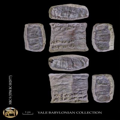Unopened case. Delivery of sheep. Ur III. Clay.; YPM BC 002977