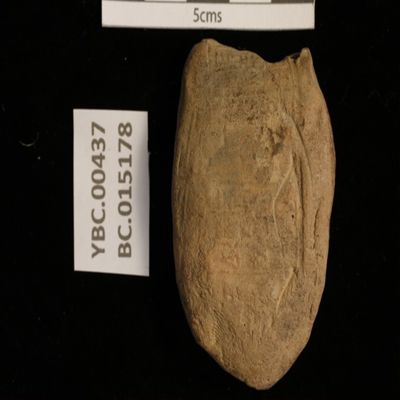 Bulla. Seal impression only. Ur III. Clay.; YPM BC 015178
