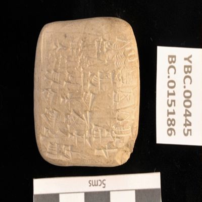Tablet. Record concerning barley for donkey fodder. Ur III. Clay.; YPM BC 015186