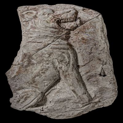 Terracotta plaque showing growling dog; YPM BC 038113